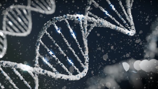 Tet ADN de paternité : extraction de l'ADN