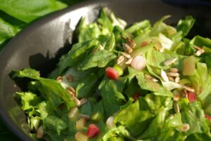 Recettes de salades