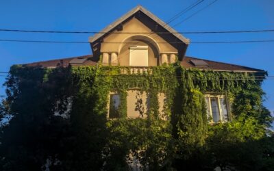 immobilier écologique