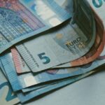 revenu d'insertion