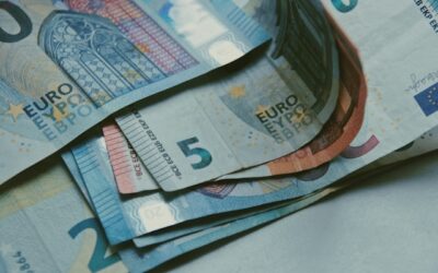 revenu d'insertion