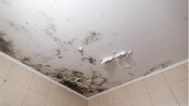 Inspection toiture en cas d’humidité ou d’infiltration