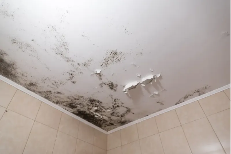 Inspection toiture en cas d’humidité ou d’infiltration