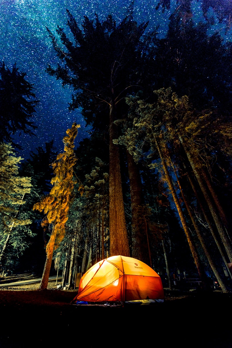 Camping en Drôme provençale : votre guide complet